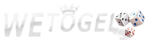 WETOGEL Logo